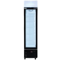 17'' Alaska-Line Single Door Slim Freezer 185L HIT-810 | SKU: FRZ-HIT